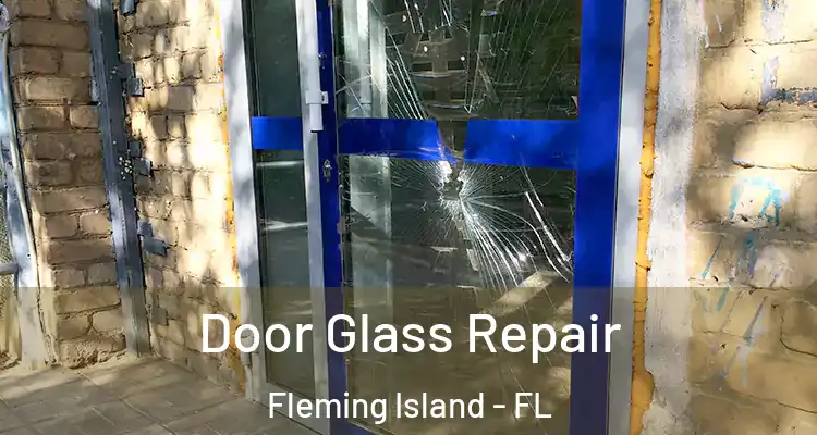 Door Glass Repair Fleming Island - FL