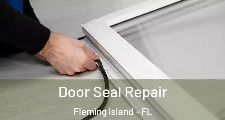 Door Seal Repair Fleming Island - FL