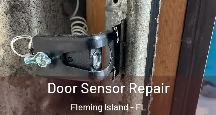 Door Sensor Repair Fleming Island - FL